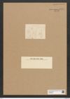 Diatomeae indet. Zeichnungen Sammlung Grunow Nr. 6598 (NHMW-BOT-W0375350)